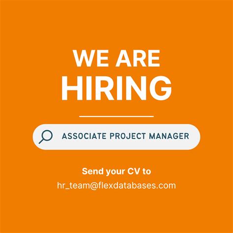 It Project Manager 的图像结果