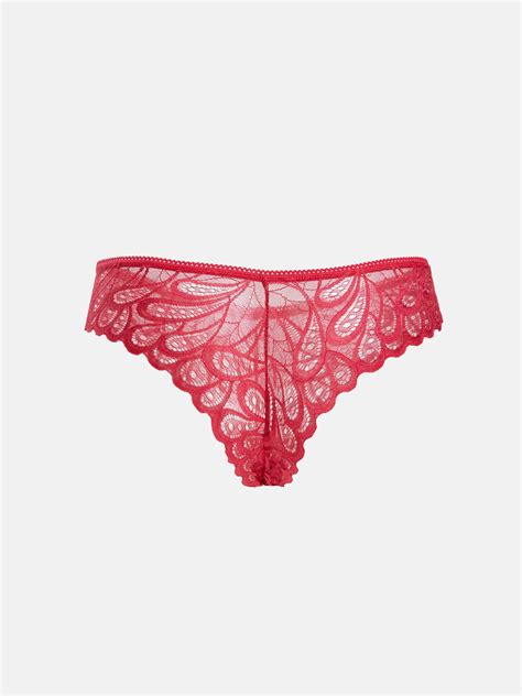 Lace Sheer Hipster Briefs | Savana | Bestsellers
