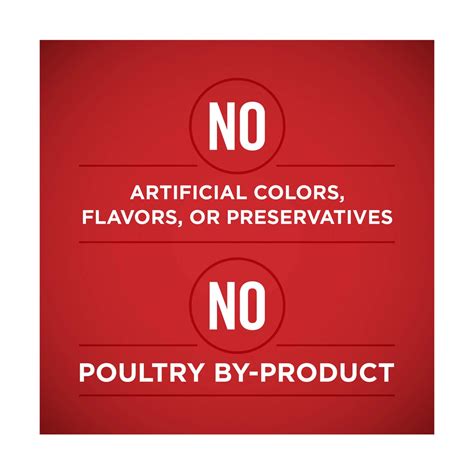 Buy Purina ONE Tender Cuts in Gravy Chicken and Brown Rice, and Beef ...