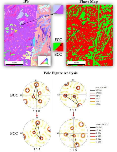 Gallery- Advanced Facility for Microscopy and Microanalysis