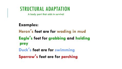 Structural Adaptation Example