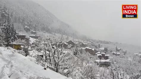 Fresh Snowfall in Himachal: हिमाचल के ऊचें इलाकों में शुरू हुई बर्फबारी ...
