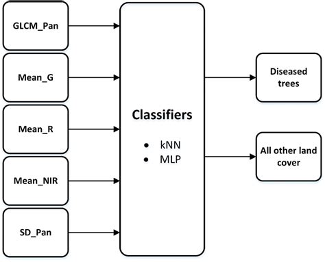 Classification Structure 的图像结果