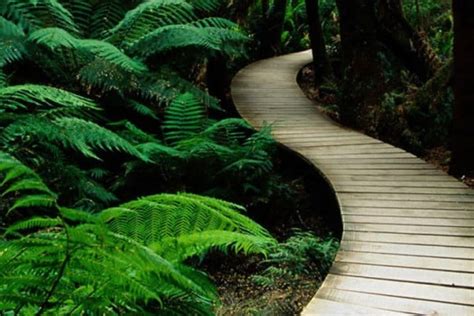 Background HD Environment 的图像结果