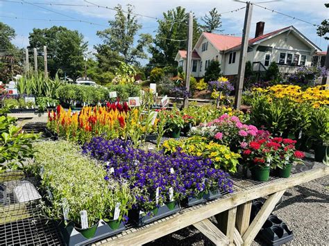 Reems Creek Nursery: My Budget Hacks – Asheville Gardener