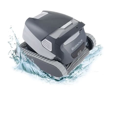 Image result for Dolphin vs Python