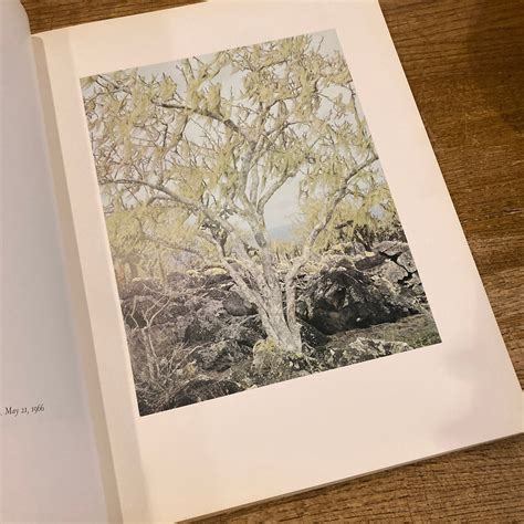 Intimate Landscapes / Eliot Porter | 百年