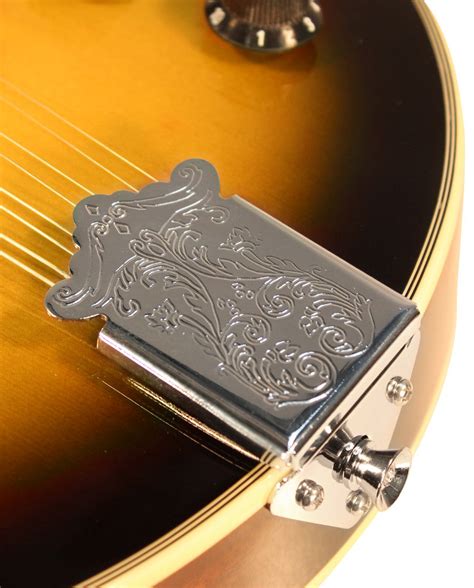 Buy Mandolin Instrument Online in India at Best Prices | Bajaao