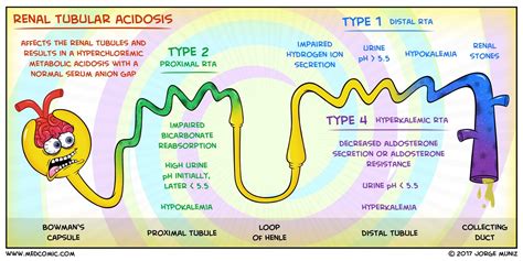 Renal tubular acidosis (RTA) refers to a group of disorders affecting ...
