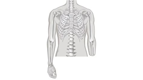 Ottobock | Upper Limb | Preparing for Amputation Surgery
