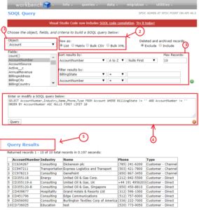 Image result for SOQL Query Using Workbench