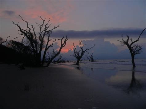 Bulls Island Ferry (2026) - All You MUST Know Before You Go (with Reviews)