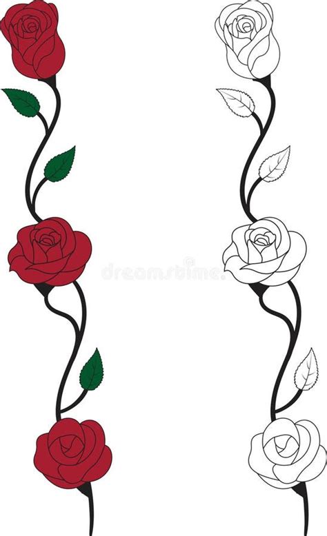 Rose Vine Drawing