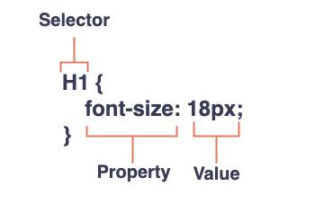 Using CSS in WP Elementor 的图像结果