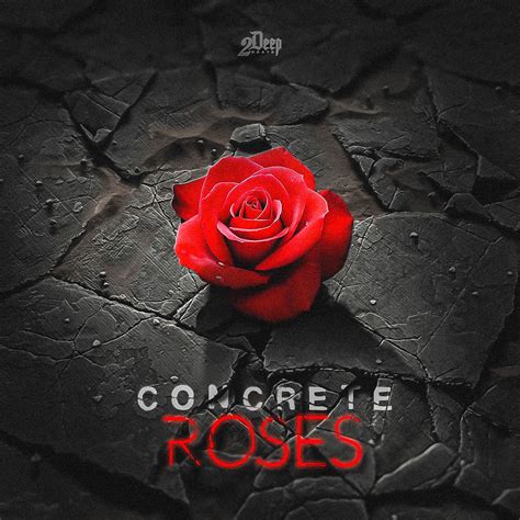 A Rose Can Grow From Concrete Meaning at Annie Ettinger blog