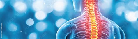 Image result for Spinal Stabilization Recovery