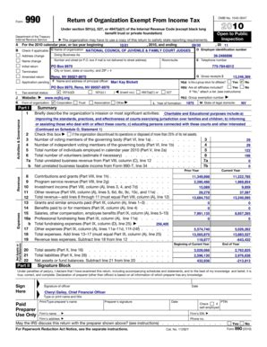 Form 990 Return of Organization Exempt From Income Tax - Blank Fillable ...