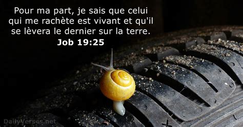 30 janvier 2021 - Verset Biblique du Jour - Job 19:25 - DailyVerses.net