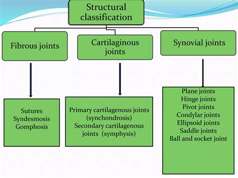 Joints anatomy and physiology | PPTX