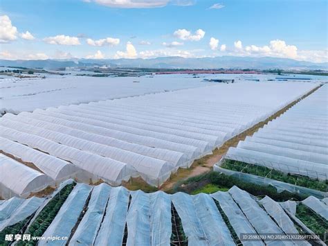 大农业 的图像结果