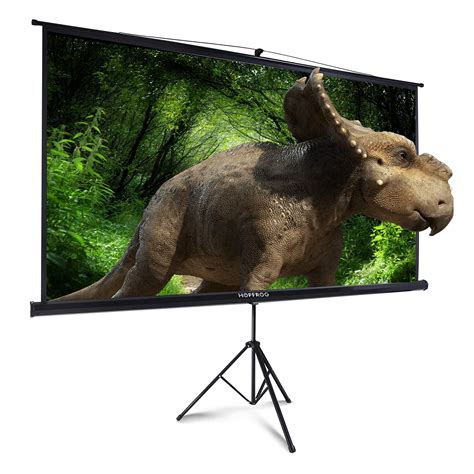Buy 100 Inch Projector Screen with Stand for Movie Projection, Large ...