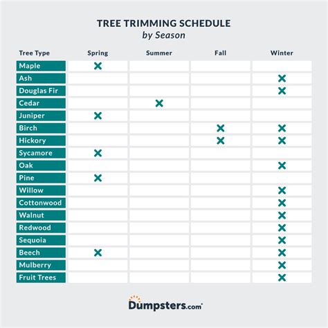 How to Trim and Prune Trees | Dumpsters.com