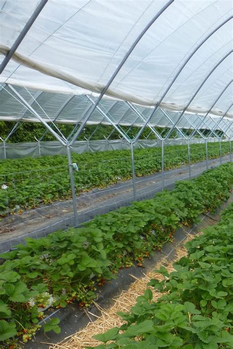 Image result for Humidity Grow Tent