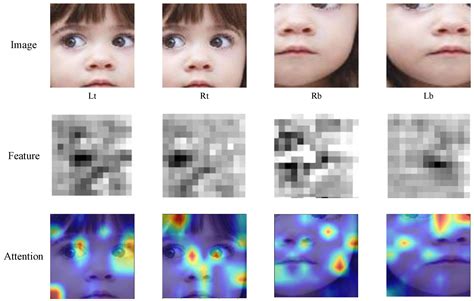 Occlusion-Robust Facial Expression Recognition Based on Multi-Angle ...