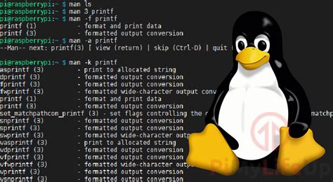Image result for Man Command Linux