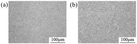 Failure Analysis of Corrosion Perforation in P110 Tubing from a ...