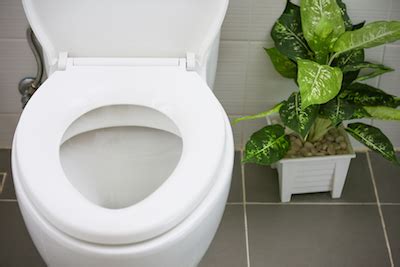 Common Toilet Problems 的图像结果