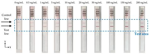 Optimized Lateral Flow Immunoassay Reader for the Detection of ...