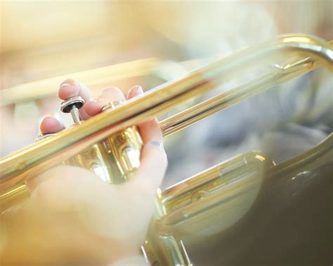Image result for Different Types of Horns Instruments