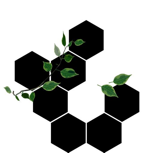 Image result for Comment Utilise Nuitka En Python