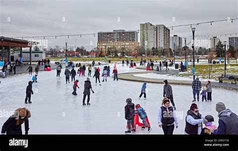 Winter Sports Skateboard 的图像结果