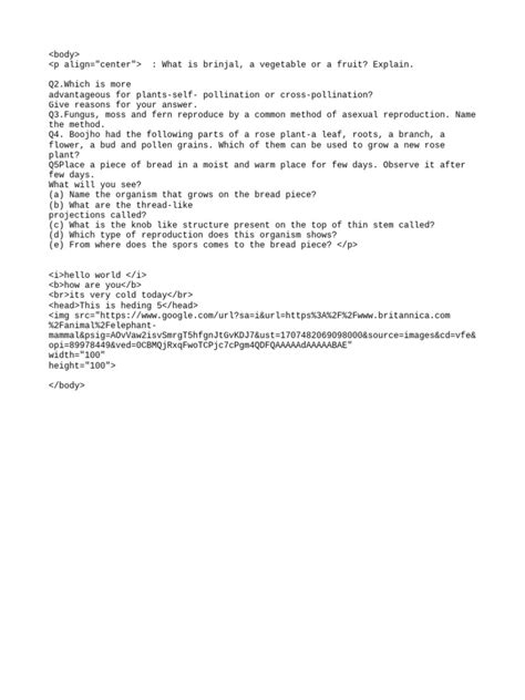 Image result for Elephant Pp Script