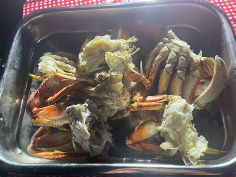 Albion River Campground on the Mendocino Coast in California