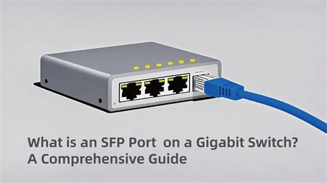 What is an SFP Port on Gigabit Switch? Types, Benefits & Trends 2025 ...