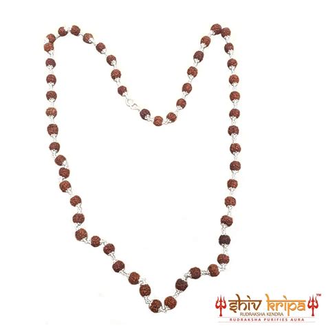 5 Mukhi Rudraksha Mala 54+1 Beads in Pure Silver Capping – Shiv Kripa ...
