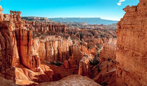Are Dogs Allowed In Bryce National Park