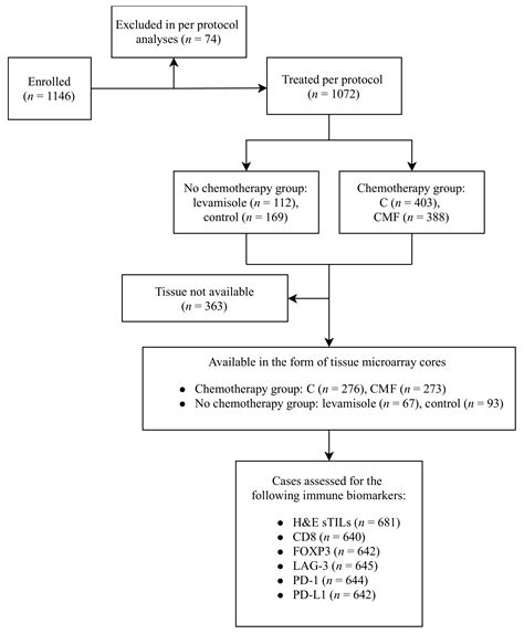 Neither Tumor-Infiltrating Lymphocytes nor Cytotoxic T Cells Predict ...