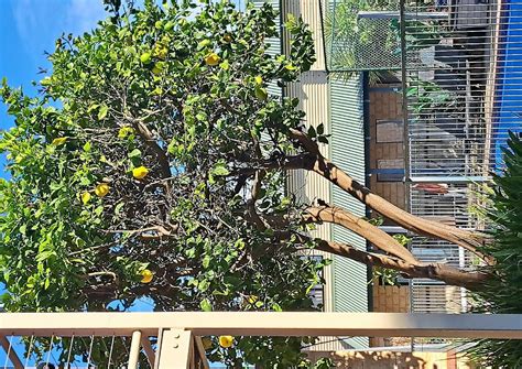 AMALFI RESORT (Busselton) - Resort Reviews, Photos, Rate Comparison ...