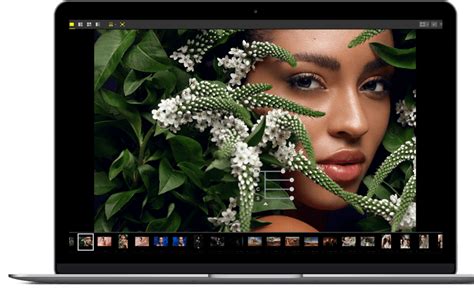 Image result for Editing Programs for Nikon