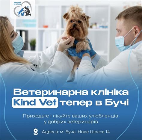 Ветклиника «Альтаир» added a new... - Ветклиника «Альтаир»