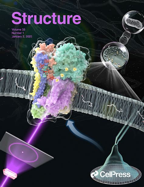 Image result for Science Feature Structure
