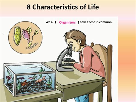 SOLUTION: 8 characteristics of life - Studypool
