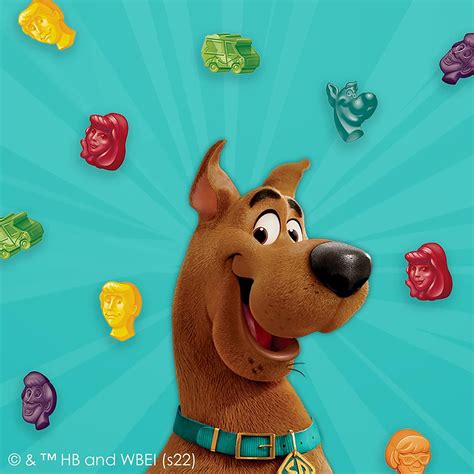 Scooby Doo Fruit Flavored Gummy Treat Pouches - Value Pack (22 ct ...