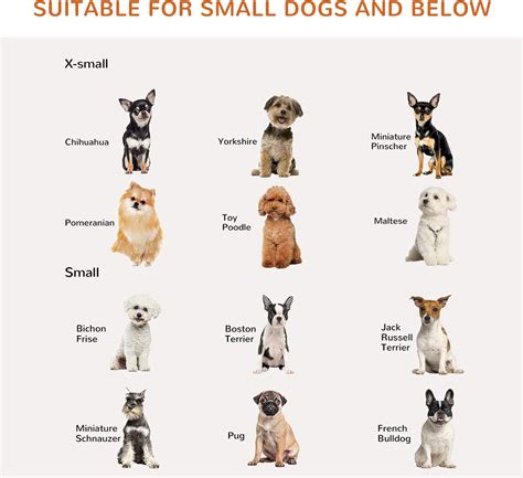 Buy PawHut Freestanding Pet Gate Stair Gates for Dogs Foldable Wooden ...