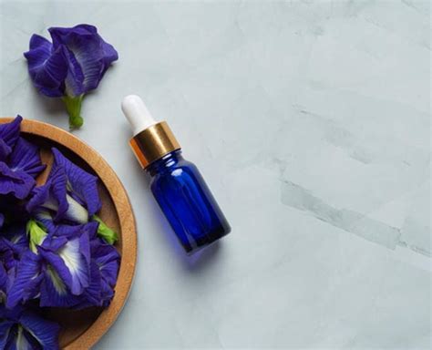 Expert Explains Why Bach Flower Therapy Is Ideal For Mental & Emotional ...