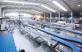 Industrial Belt conveyor manufacturers